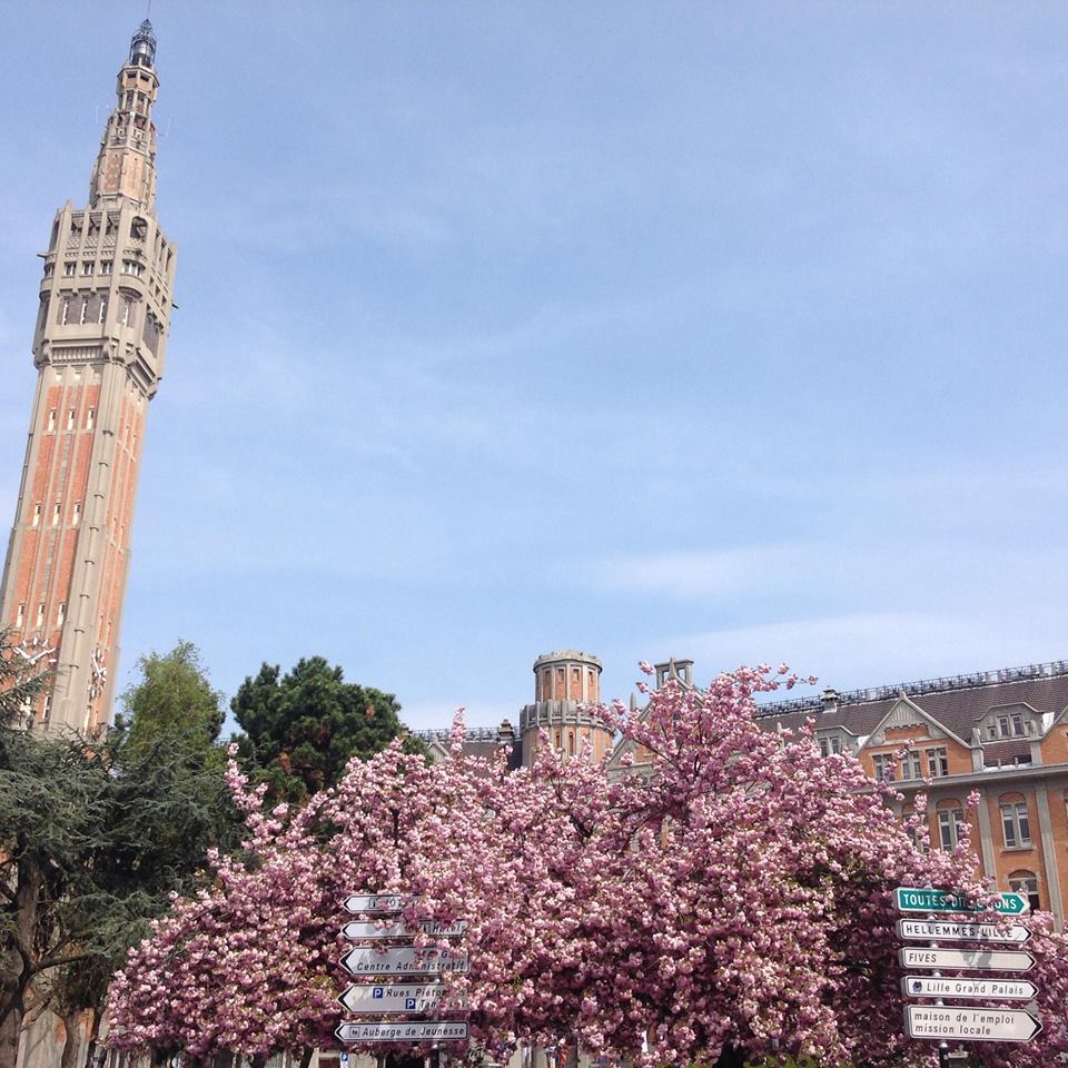 11182186_10153262556705692_6230477273923586228_n